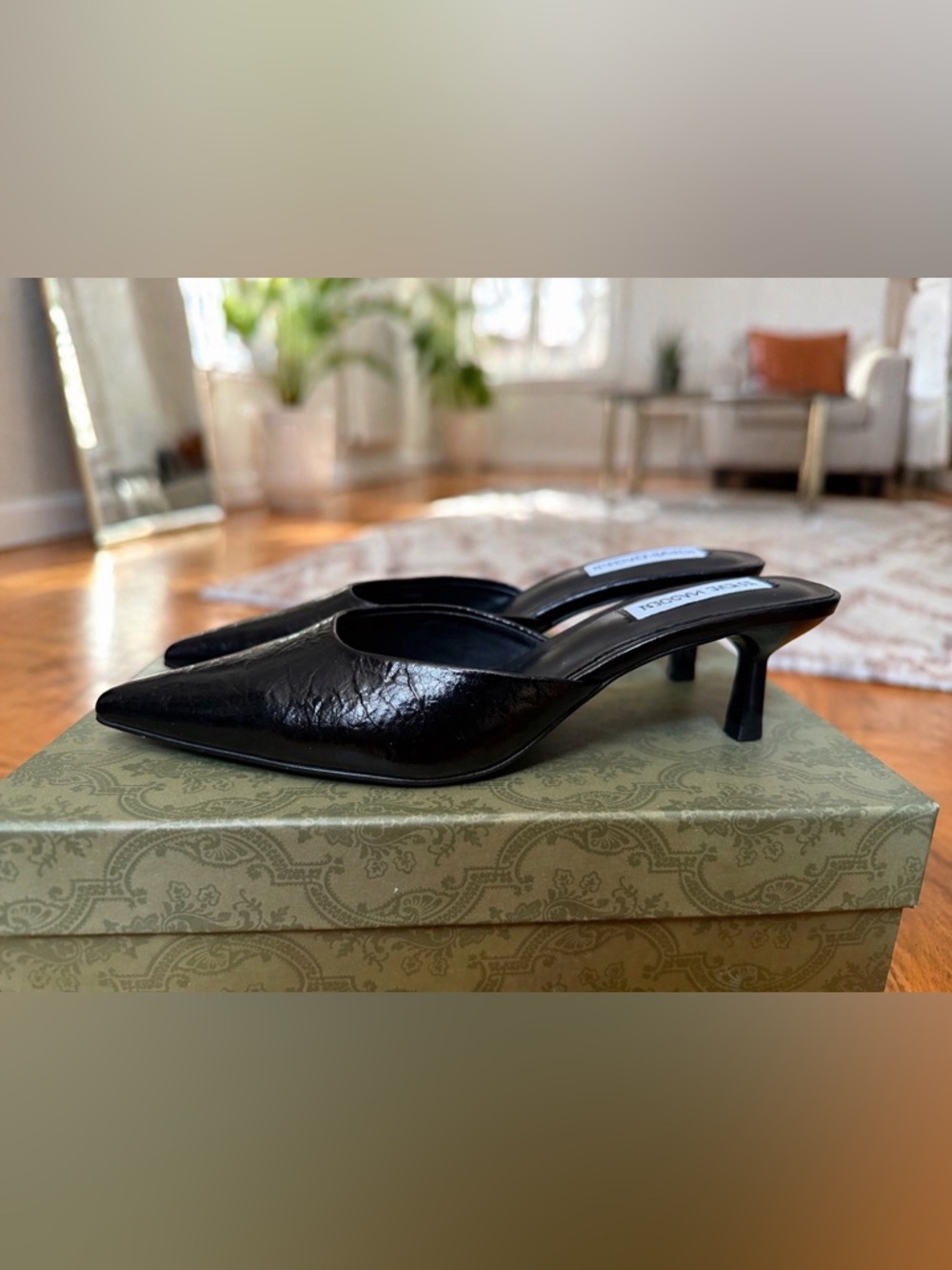 Steve Madden 90s Kitten Heel Mules 🖤 – Size 8 (NWOT)